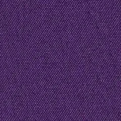 Bahama violet